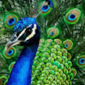 Meet your Posher, Mariaelena